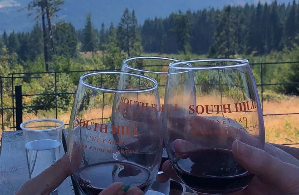 Cheers-ing wine glasses of South Hill wine with an incredible view beyond